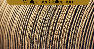 Depth & Dimension: The Textured Wallpaper Collection