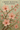Cherry Blossom Wallpapers