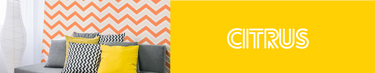 Citrus - Mustard