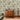 Osterley Green Wallpaper