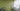 Botanical Green Wallpaper | Tropical Wallpaper | 478242