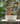 Paradise Birds Black Multi Wallpaper | Tropical Pattern | 539059