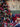 Belvedere Green Wallpaper