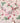 Bunnies & Berries Pink Wallpaper