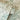 Capri Tropical Palm Green Wallpaper