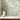 Capri Tropical Palm Green Wallpaper