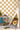 Check This Out! Orange Wallpaper
