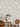 Sumatra Palm Grey Wallpaper | Rasch Wallcoverings | 316438