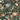 Curious Creatures Green Wallpaper
