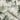 Elysian Floral Green and Gold Wallpaper - Floral Marble Wallpaper