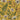 Wild Meadow Mustard Floral Wallpaper | Fine Decor | FD43336