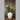 Floral Arrangement - Pauls Picks