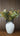 Floral Arrangement - Pauls Picks