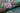 Floral Boutique Opulent Magenta Wallpaper