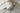 Harris Check Soft Grey Wallpaper