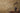 History of Art 2 - Luxury Tropical Metallic Gold Wallpaper