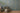 History of Art 2 - Paradise Garden Floral Blue Wallpaper