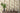 History of Art 2 - Paradise Garden Floral Cream Wallpaper