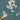 Metropolitan Stories Cherry Blossom Teal Wallpaper