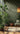 Metropolitan Stories Leaf Green Wallpaper