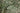 Metropolitan Stories Leaf Green Wallpaper