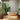 Metropolitan Stories Palm Grey Wallpaper