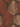 Metropolitan Stories Palm Rust Wallpaper