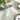 Moda Feather Sage Wallpaper