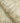 Modulo Sage Wallpaper