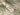 Noble Zen Bamboo Leaves Green Wallpaper