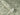 Noble Zen Sakura Cherry Blossom Green Wallpaper