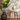 Opulenza Plaster Leaf Pattern Wallpaper