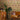 Ornate Oddities Gold Wallpaper