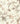 Painted Petals Cream Wallpaper