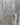 Palermo Marble Cream Wallpaper