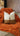Paul Moneypenny Buckleup Neutral