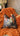 Paul Moneypenny Cushion Impossible Cushion