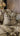 Paul Moneypenny Deafleopard Cushion