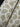 Paul Moneypenny Leopard Cream & Gold Wallpaper