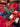 Paul Moneypenny Tied Up Emerald Cushion