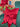 Paul Moneypenny Tied Up Scarlet Cushion