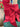 Paul Moneypenny Tied Up Scarlet Cushion