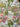 Paul Moneypenny Wallpaper Collection Floral Hall Green - Nobletts