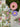 Paul Moneypenny Wallpaper Collection Floral Hall Green - Nobletts