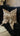 Paul_Moneypenny_Wildthing_Cushion_3