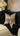 Paul Moneypenny Wildthing Cushion