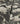 Petalina Charcoal Wallpaper