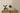 PintWalls II - Wood Effect Slats Beige/Cream Wallpaper