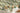 Prehistoric Green/Orange Wallpaper