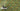 Botanical Green Wallpaper | Tropical Wallpaper | 478242